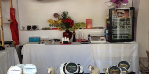 moncedillo_1a_feria_de_quesos_artesanos